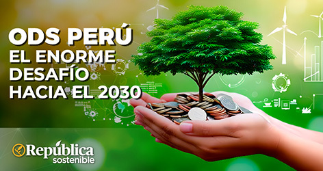 Infografía 1